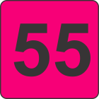 Number Fifty Five (55) Fluorescent Circle or Square Labels
